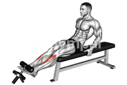 Weighted Plate Tibialis Anterior Curl