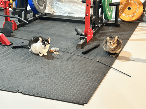 push day