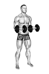 Dumbbell Standing Arms Rotate